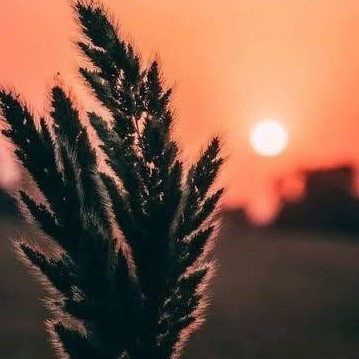 𝐏𝐑𝐈𝐘𝐀 "Piu...❤️"