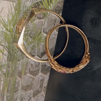 Zala hinaba Harpalsinh