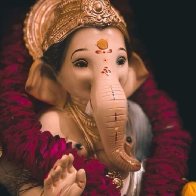 Ritu Raj