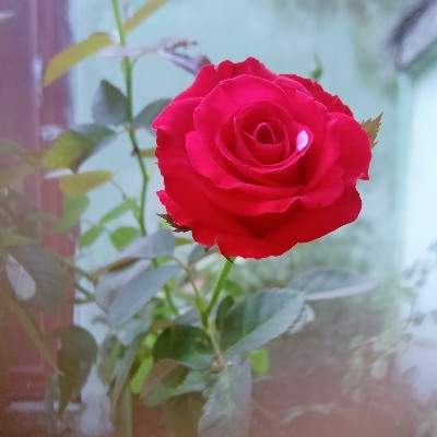 ଉନ୍ନତୀ ଭଞ୍ଜ