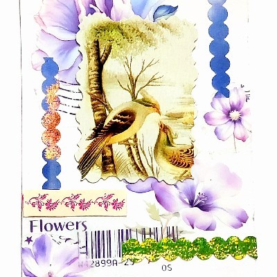 Stories "Stories_here"