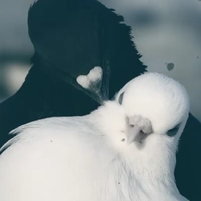 রাইসা আক্তার মীম