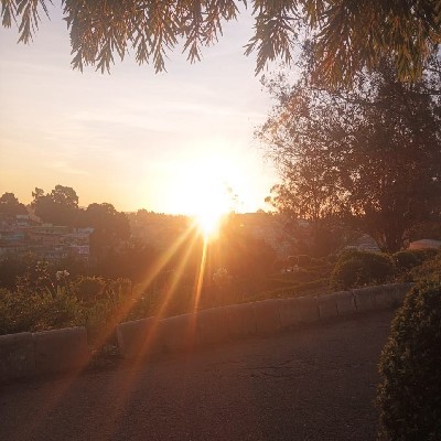 Sreeradha Sreeradha "Sree"