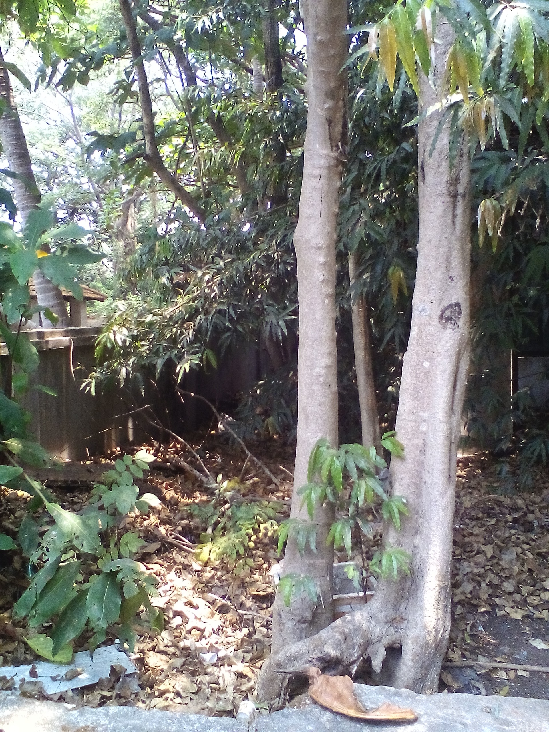 नाम बदनाम