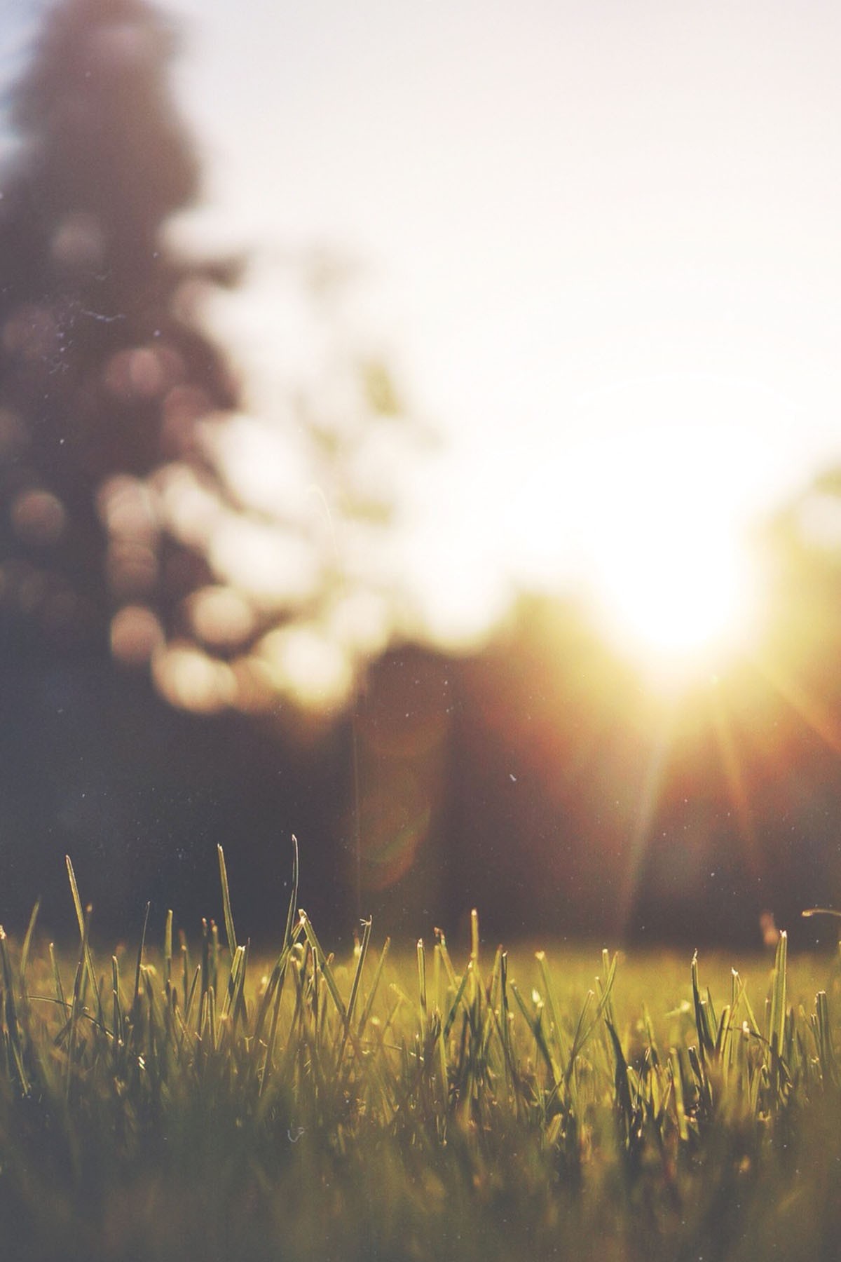 उतर रही है भोर