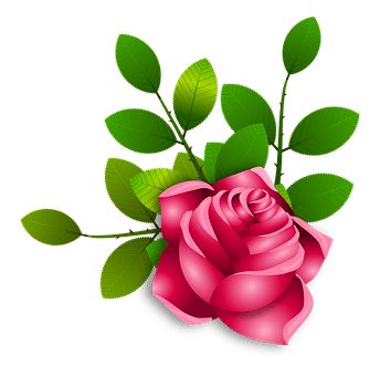 हर दिन एक फूल मिलता है