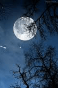 একটি রাতের ইতিকথা