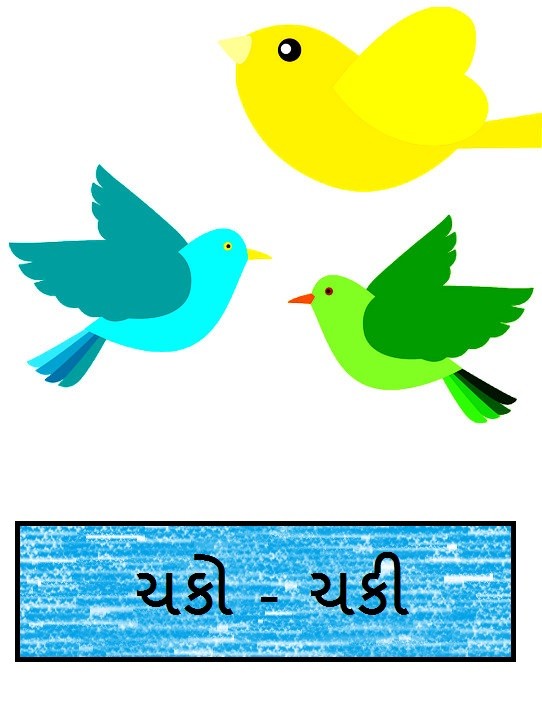 ચકો ચકી