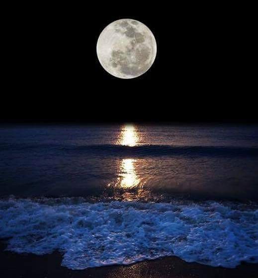 हौसेचं मोल