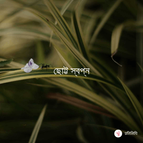 ছোট্ট স্বপ্ন