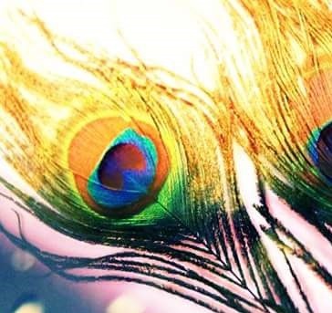 సమస్యలు ఎందుకు వస్తాయి?(ఒక మంచి కథ)