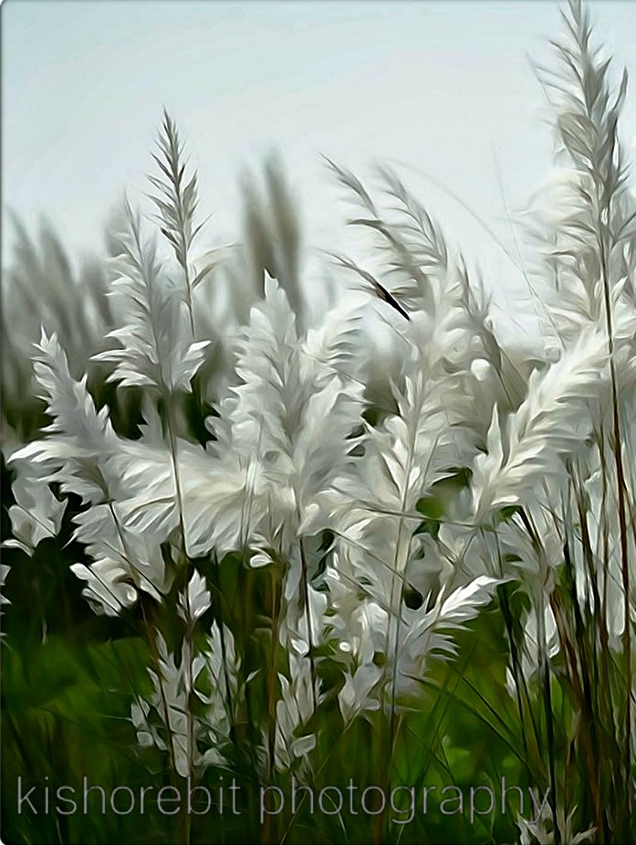 পূজা ইস্পিশাল