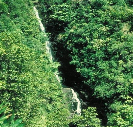 ऋण