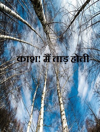 काश! मैं ताड़ होती