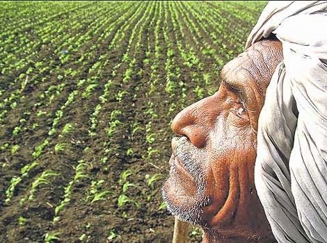 ऊपर वाले बहुत बधाई