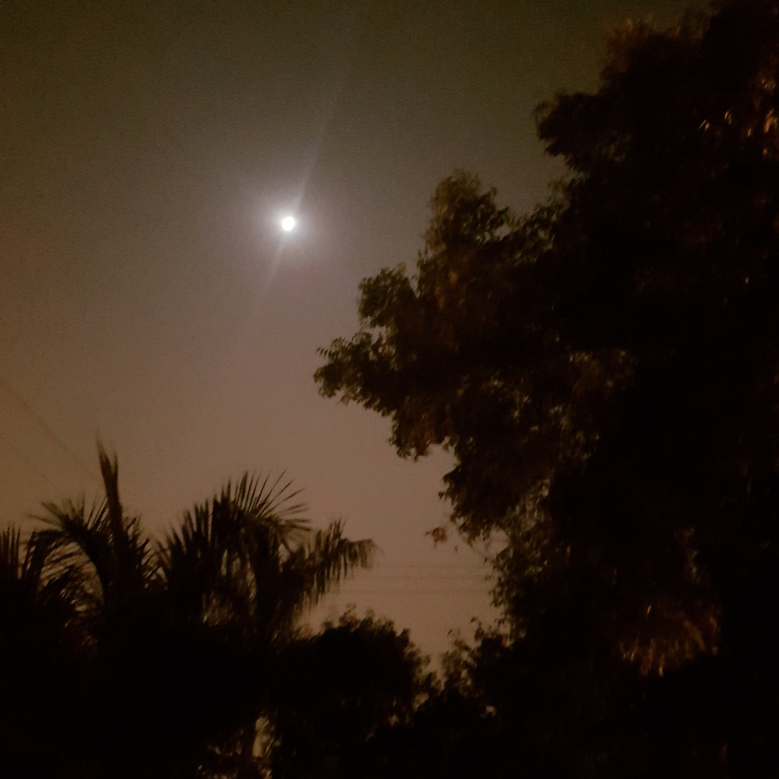 सुरक्षित छत