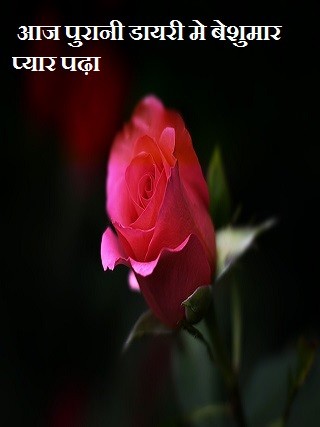 आज पुरानी डायरी मे बेशुमार प्यार पढ़ा …