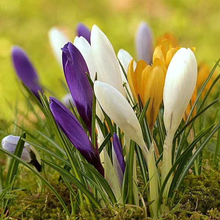 प्रिय तू,