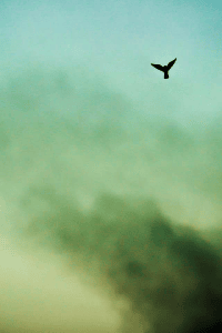 एक क्षणिक प्रेमकथा