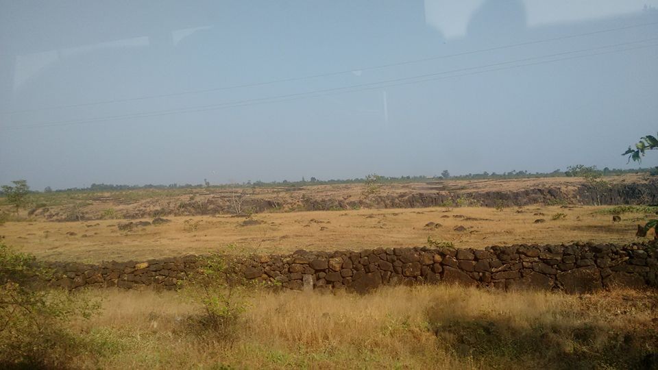 मुक्तता!