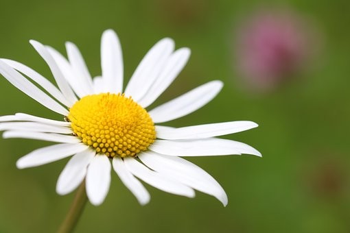 निशब्द भावना
