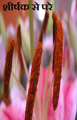 शीर्षक से परे