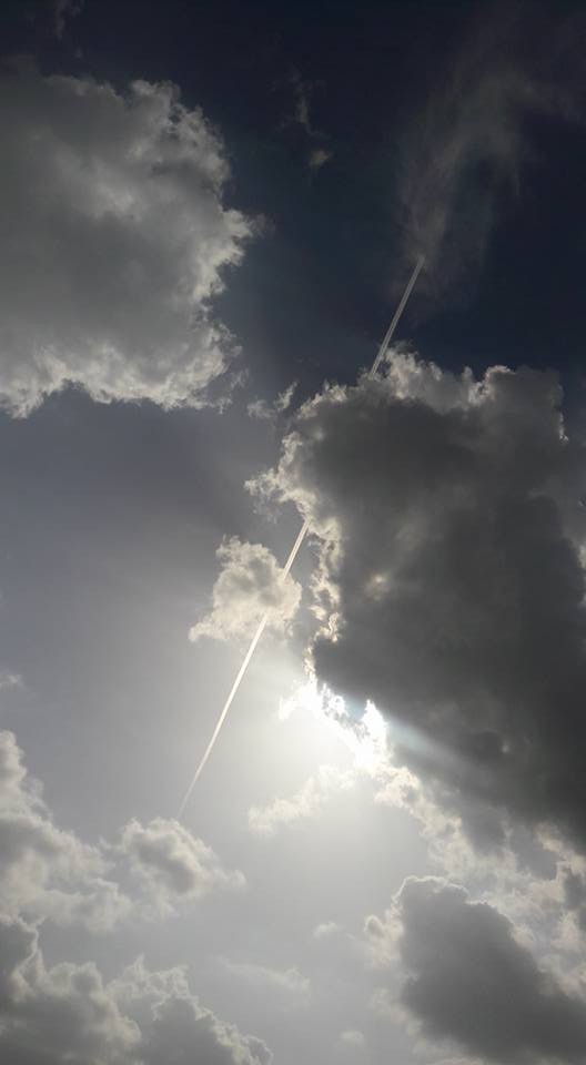 सुभी