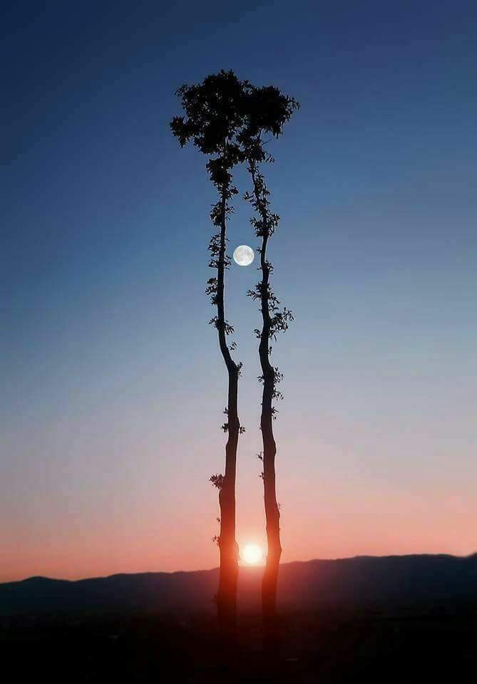 जुळी भुतं