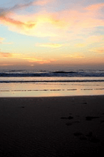 సలేశ్వరం-