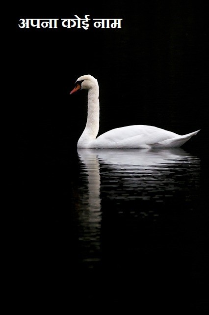 अपना कोई नाम