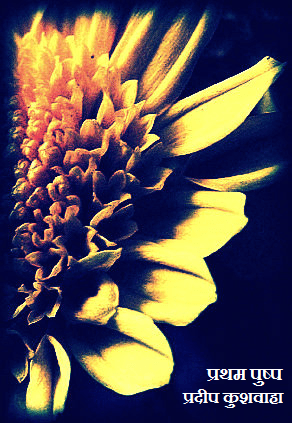 प्रथम पुष्प