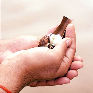 पिंडदान