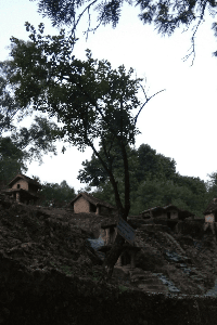 याद है तो प्रेम है