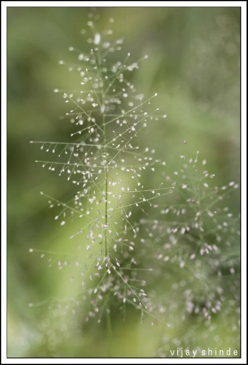 निशब्द‬