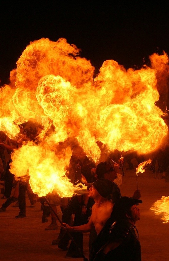 കാട്ടാളന്മാരുടെ രാജ്യം