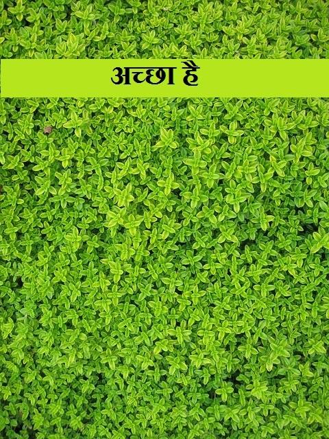 अच्छा है