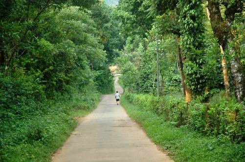 निसर्ग माझा सखा !