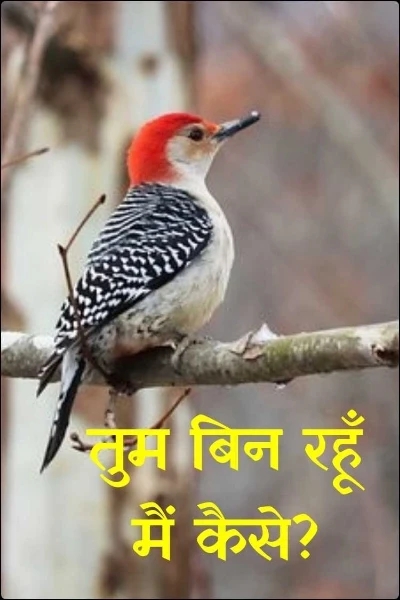 तुम बिन रहूँ मैं कैसे?