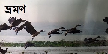 ভ্রমন