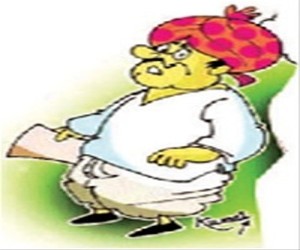 सरपंचाचा जीआर