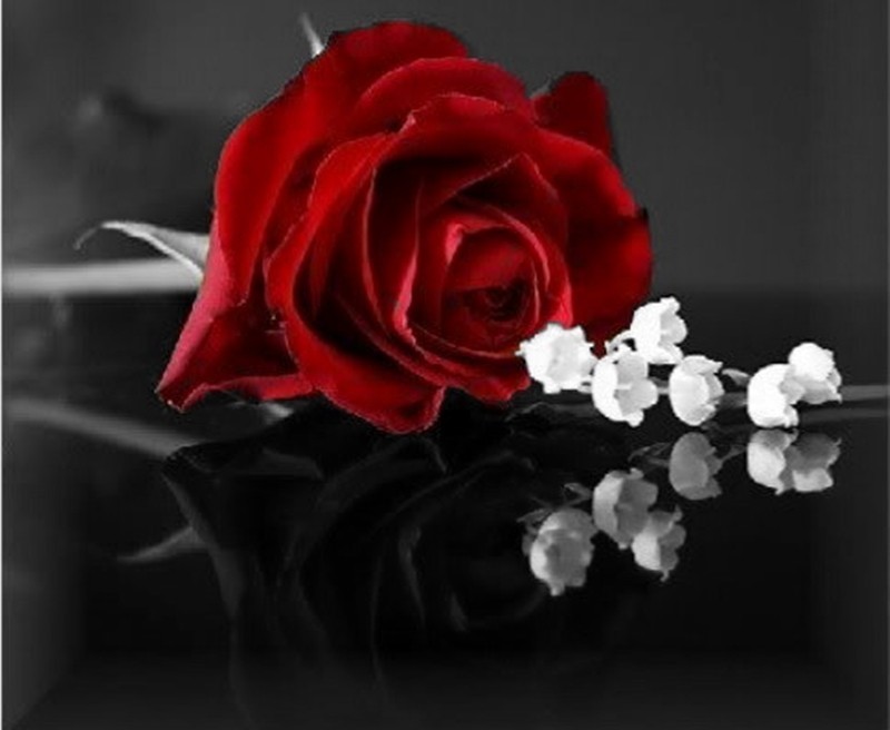 ನಿವೇದಿ﻿ತಾ