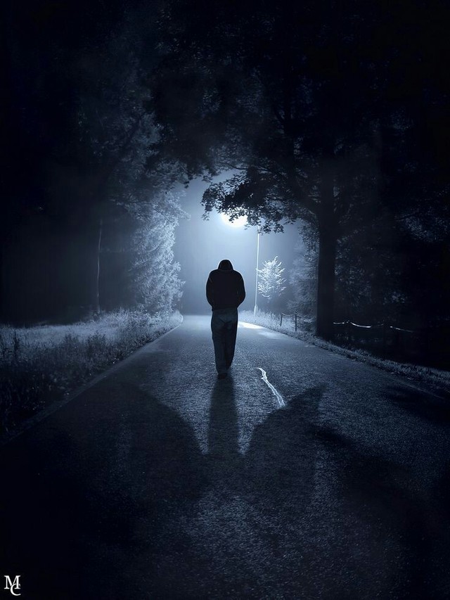 परतीची वाट