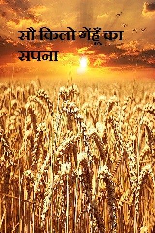 सौ किलो गेंहूँ का सपना