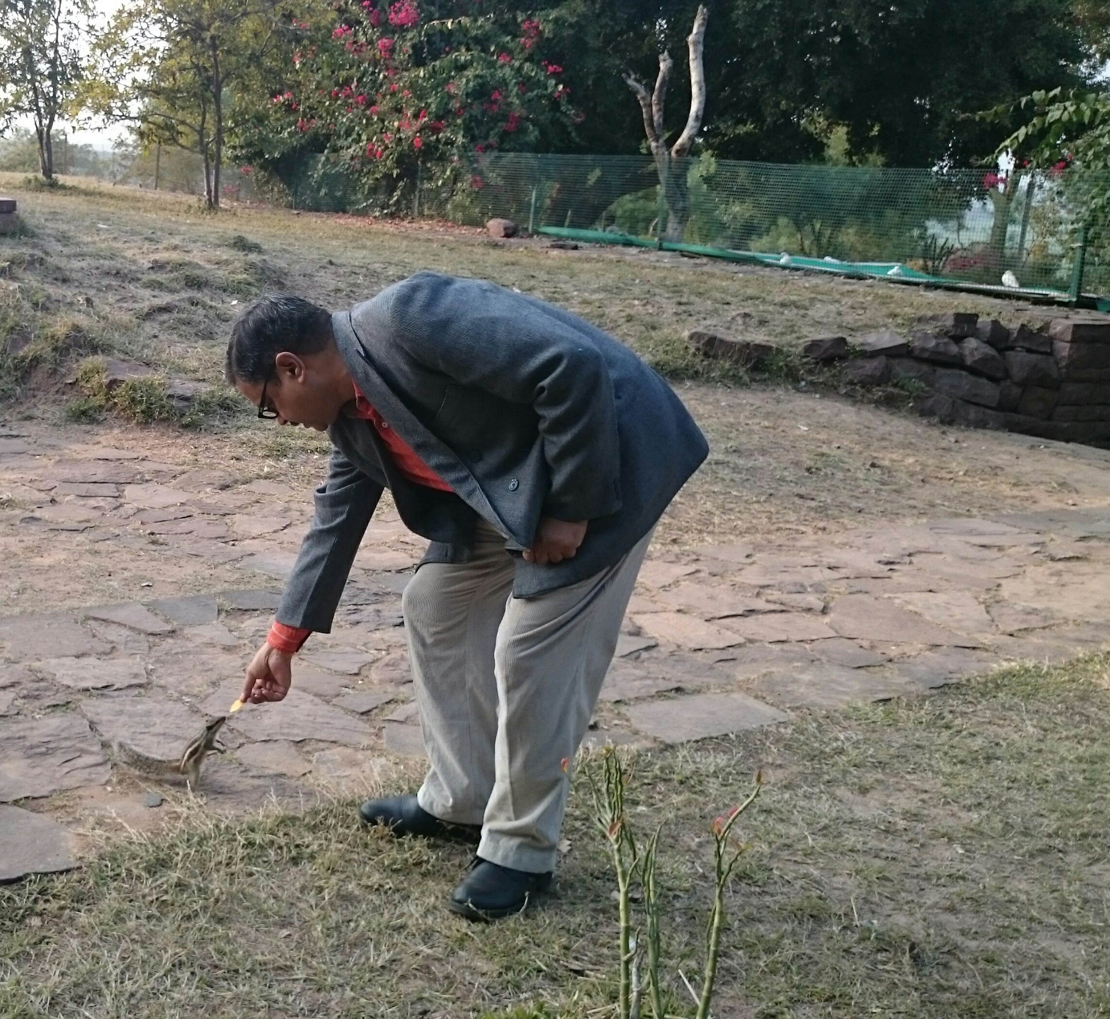 नयापन
