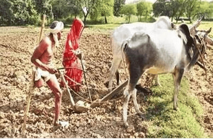 एक बार फिर मुखिया बना दो