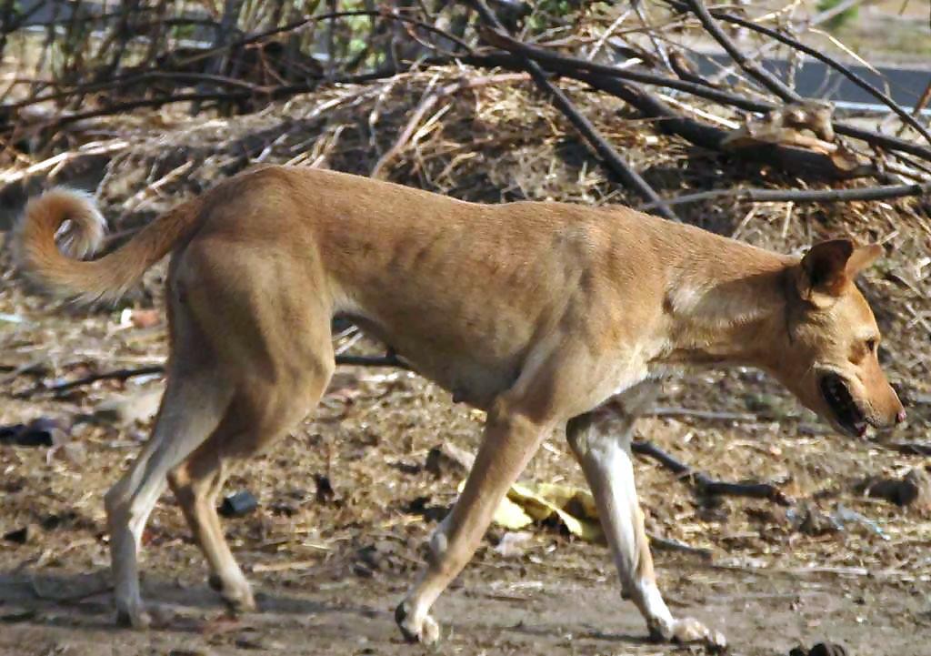 मागे न परतण्यासाठी...