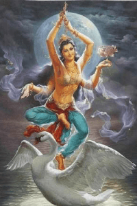 সাহসী সামদ্রুপ