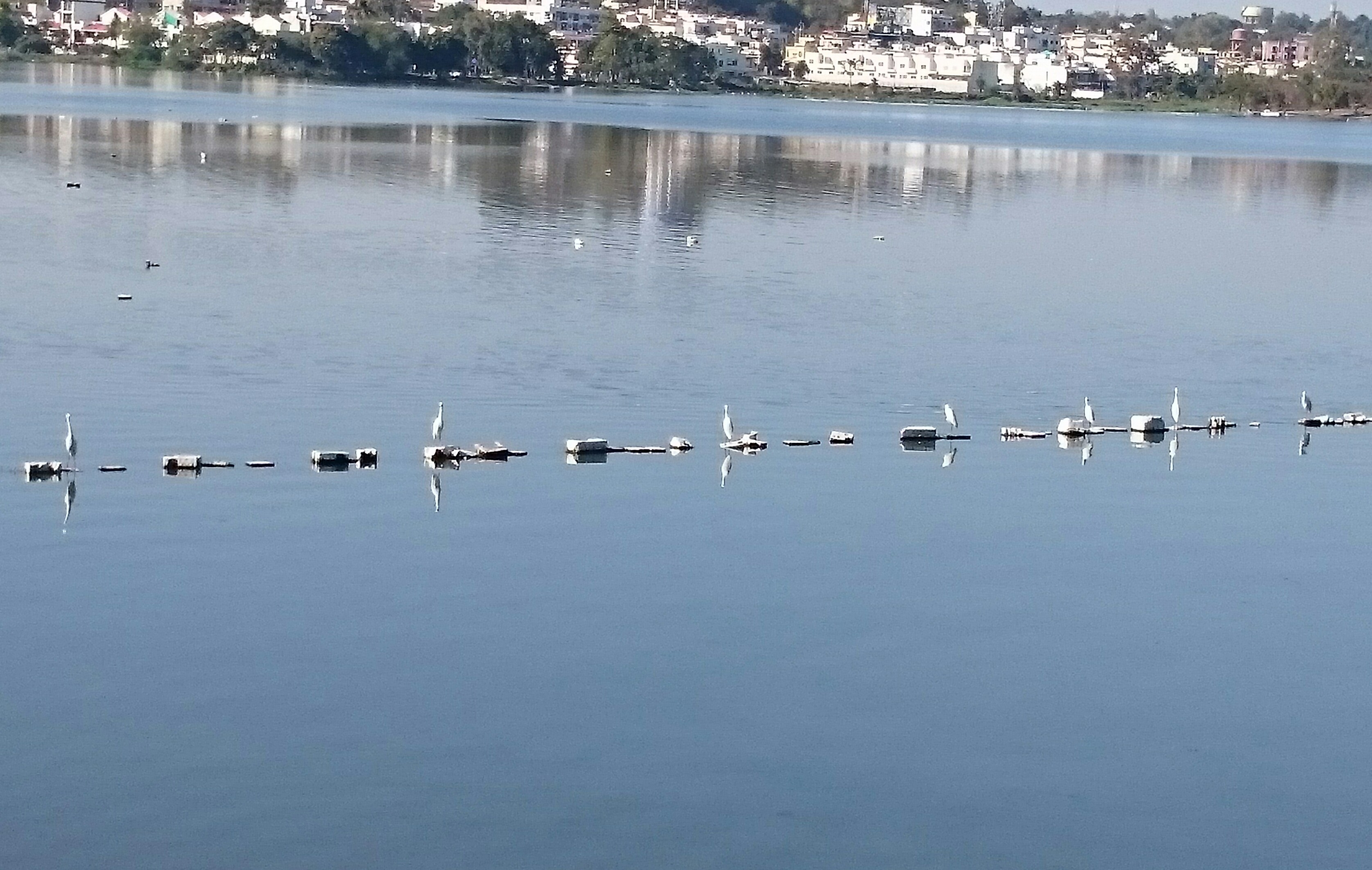 नयापन