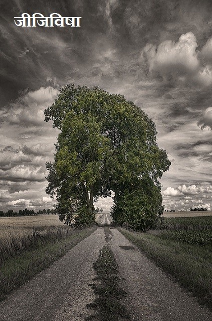 जीजिविषा