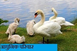 आधुनिक परिवार